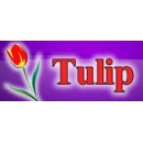 FIRMA HANDLOWA TULIP - KWIATY SZTUCZNE, UPOMINKI - HURTOWNIA BIAŁYSTOK PODLASIE